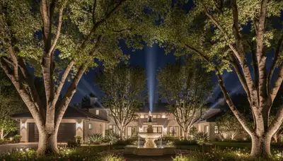 Dramatic tree uplighting at night by Chop Chop Landscaping in Orange County, CA enhancing outdoor ambiance