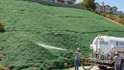 Professional hydroseeding on hillside slope for erosion control in Orange County, CA landscaping